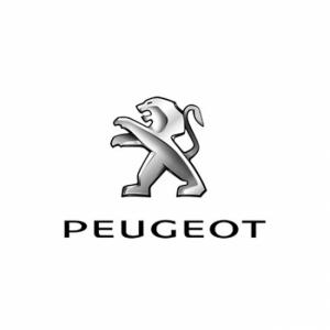 Kits balisage Peugeot