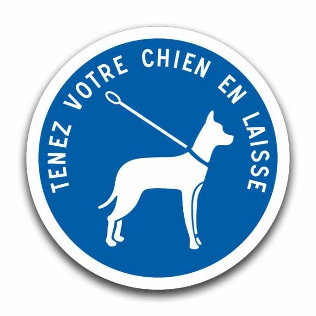 Panneau chien tenu en laisse