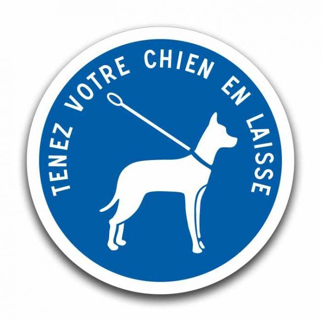 Panneau Tenez Votre Chien En Laisse