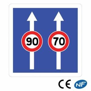 Panneau Conditions de circulation sur la route (C24a ex 2)
