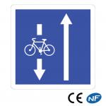 Panneau Conditions de circulation sur la route(C24a ex 3)