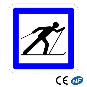 Signalisation d'indication des services